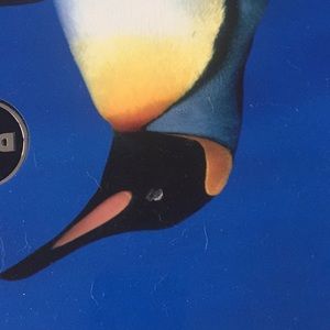 Meet your Posher, Becca